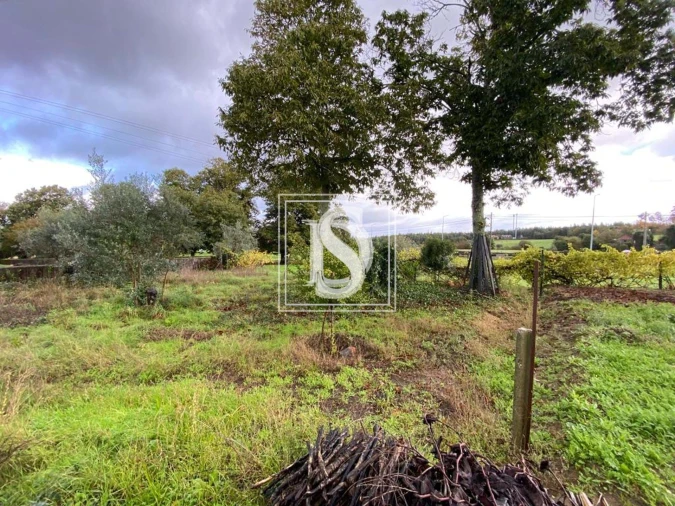 Moradia T1 para Venda em Tondela e Nandufe Foto 21