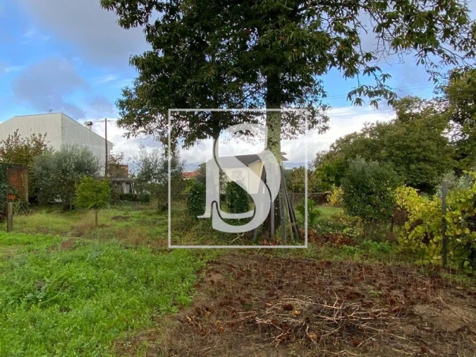 Moradia T1 para Venda em Tondela e Nandufe Foto 18