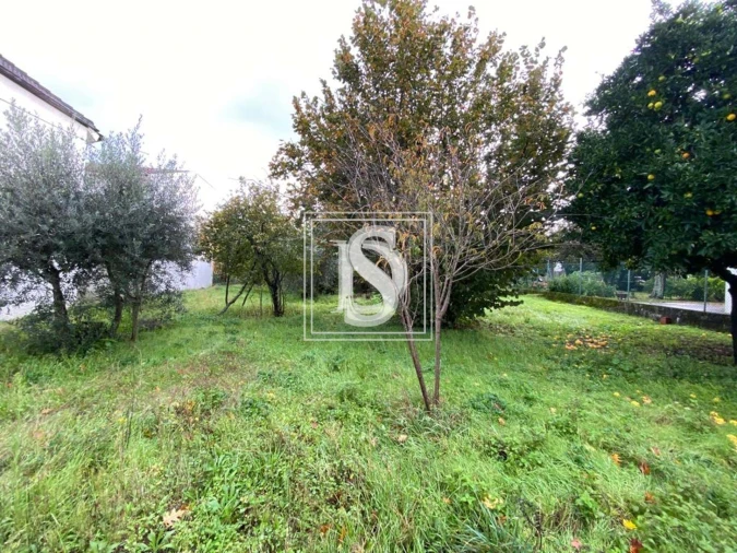 Moradia T1 para Venda em Tondela e Nandufe Foto 18