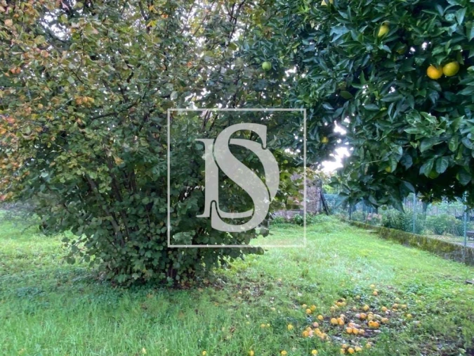 Moradia T1 para Venda em Tondela e Nandufe Foto 16