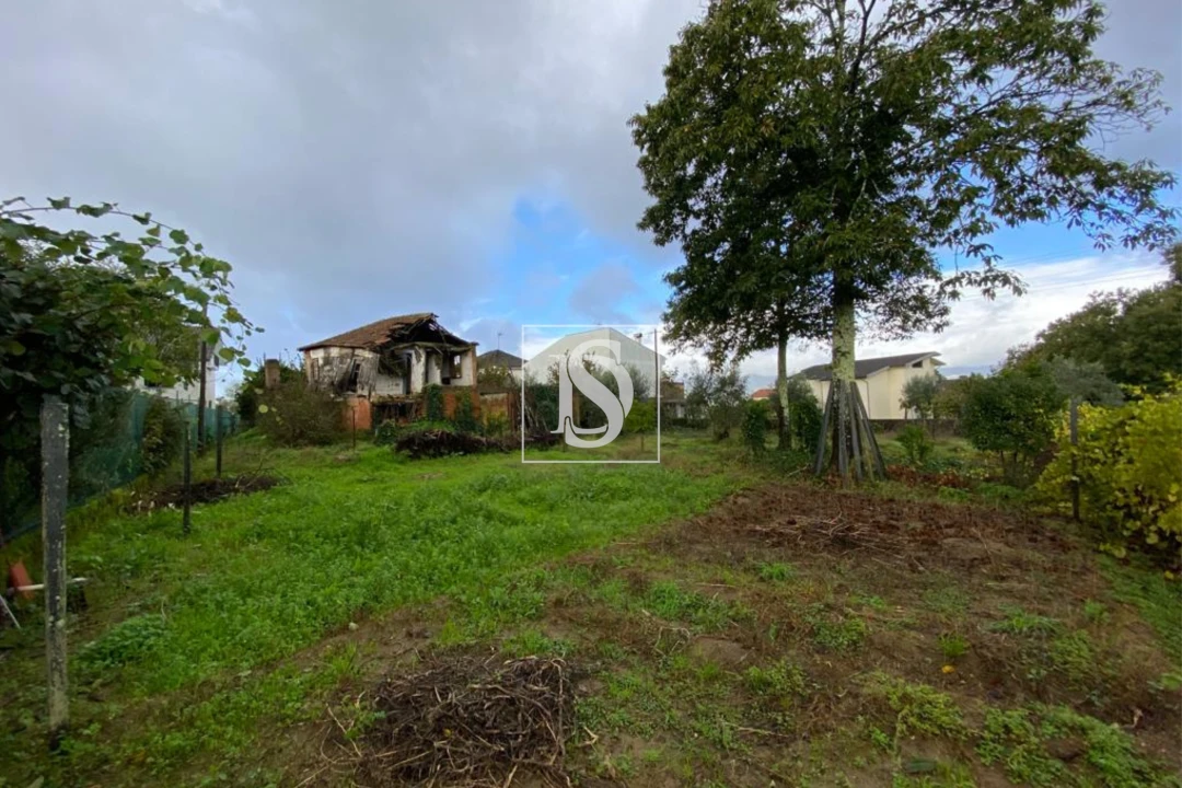 Moradia T1 para Venda em Tondela e Nandufe Foto 2