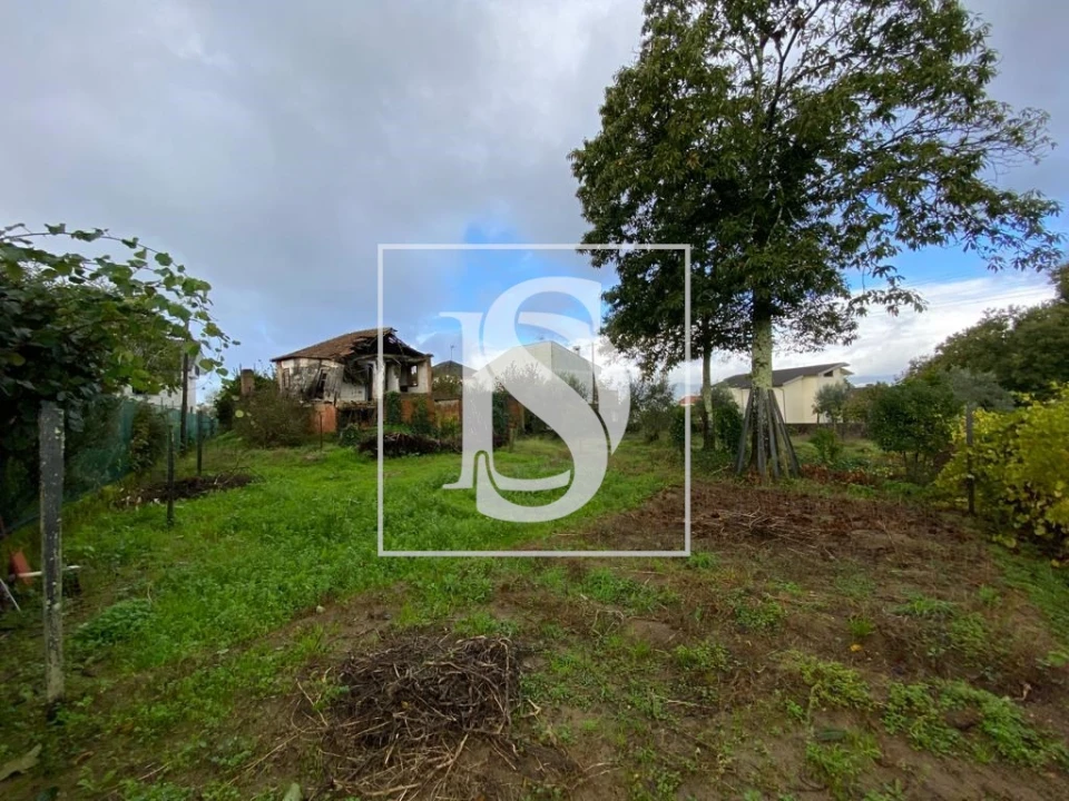 Moradia T1 para Venda em Tondela e Nandufe Foto 6