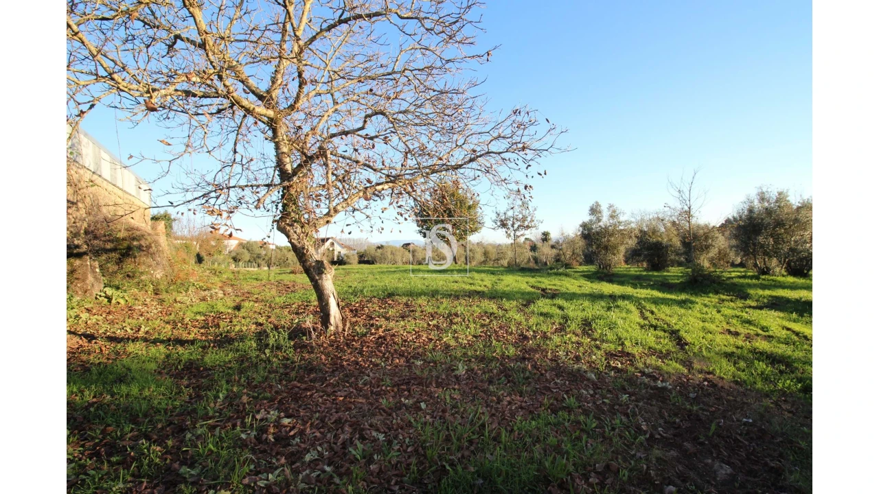 Terreno para Venda em Canas de Santa Maria Foto 5