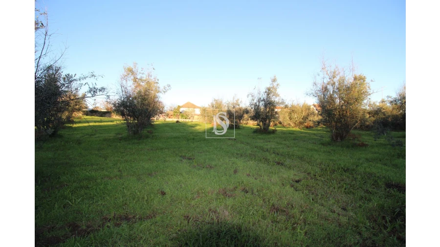 Terreno para Venda em Canas de Santa Maria Foto 13