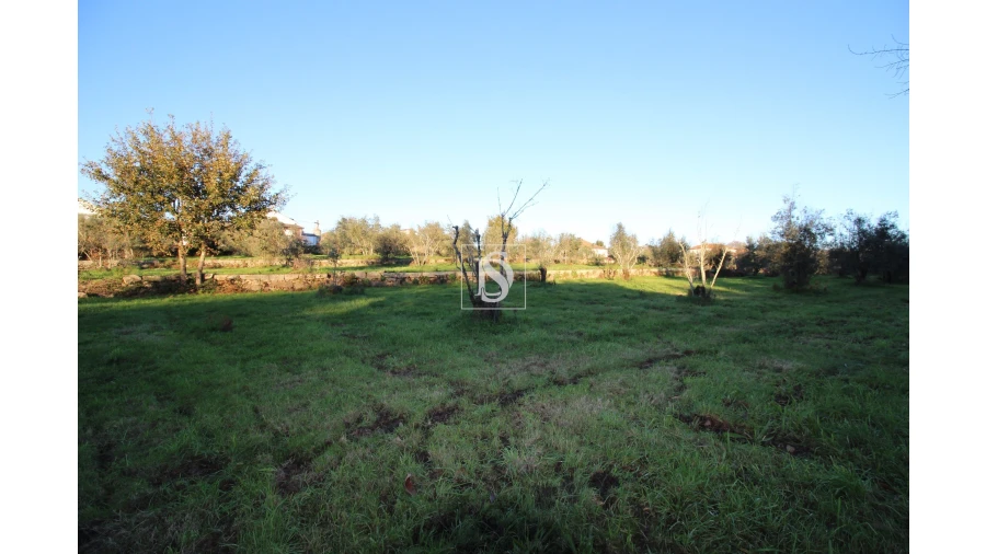 Terreno para Venda em Canas de Santa Maria Foto 10