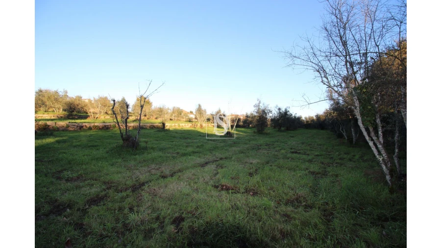 Terreno para Venda em Canas de Santa Maria Foto 9