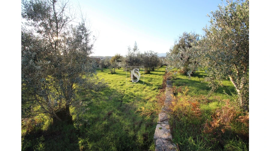 Terreno para Venda em Canas de Santa Maria Foto 8