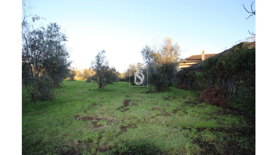 Terreno para Venda em Canas de Santa Maria Foto 11