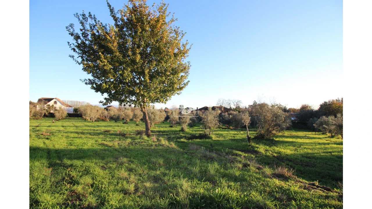 Terreno para Venda em Canas de Santa Maria Foto 14