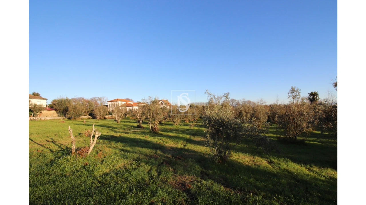 Terreno para Venda em Canas de Santa Maria Foto 7