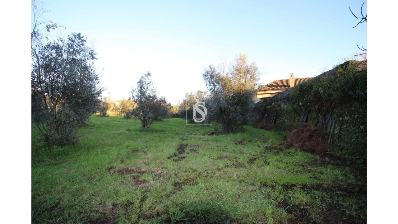 Terreno para Venda em Canas de Santa Maria Foto 11