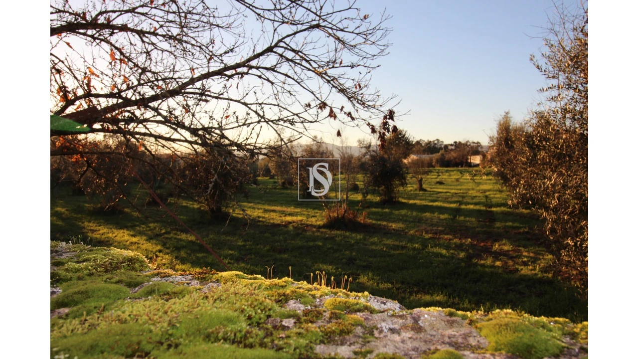 Terreno para Venda em Canas de Santa Maria Foto 4
