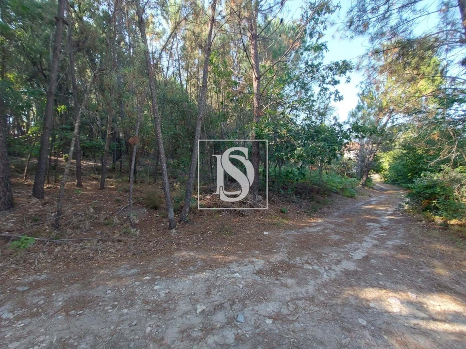 Quinta T3 para Venda em Castelões Foto 18