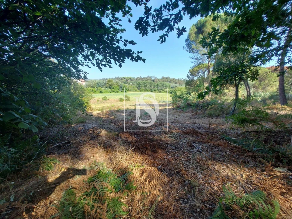 Quinta T3 para Venda em Castelões Foto 17