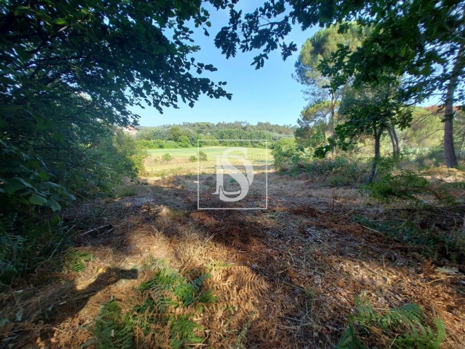 Quinta T3 para Venda em Castelões Foto 17