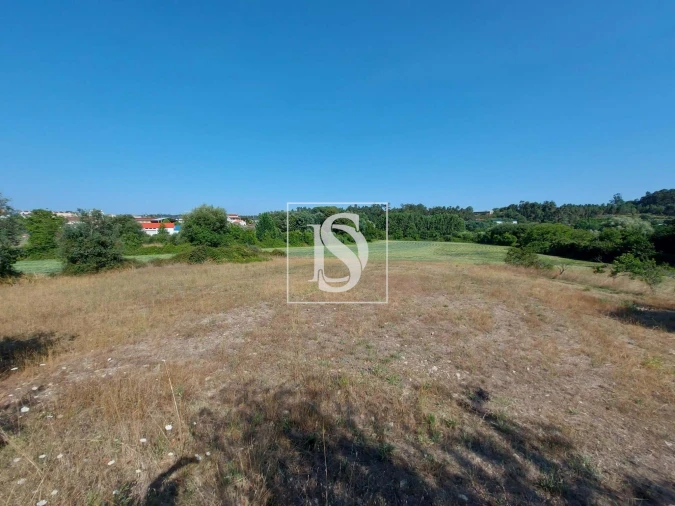 Quinta T3 para Venda em Castelões Foto 7