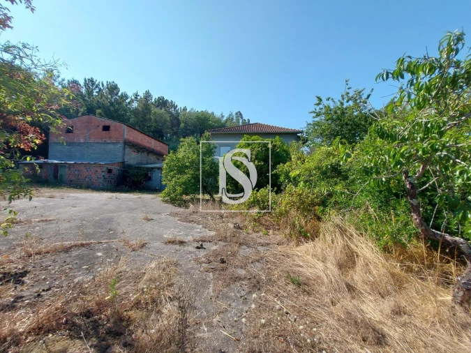 Quinta T3 para Venda em Castelões