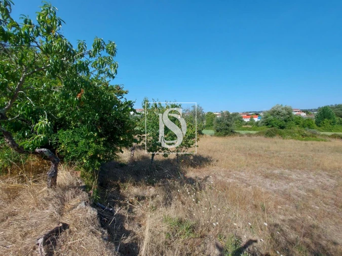 Quinta T3 para Venda em Castelões Foto 6