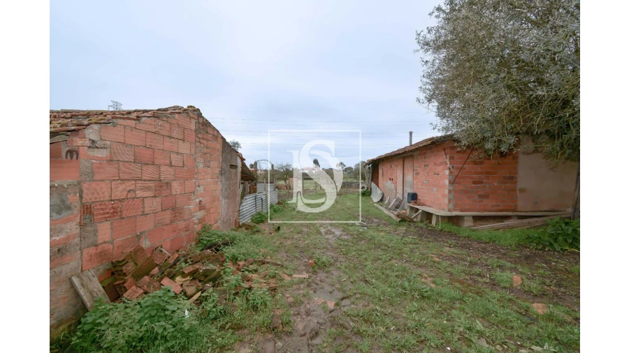 Moradia T4 para Venda em Casais e Alviobeira Foto 9