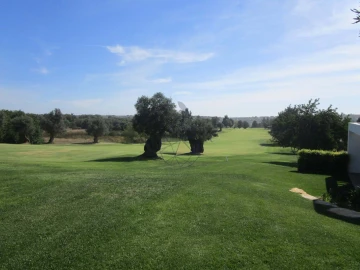 Terreno para Venda em Silves
