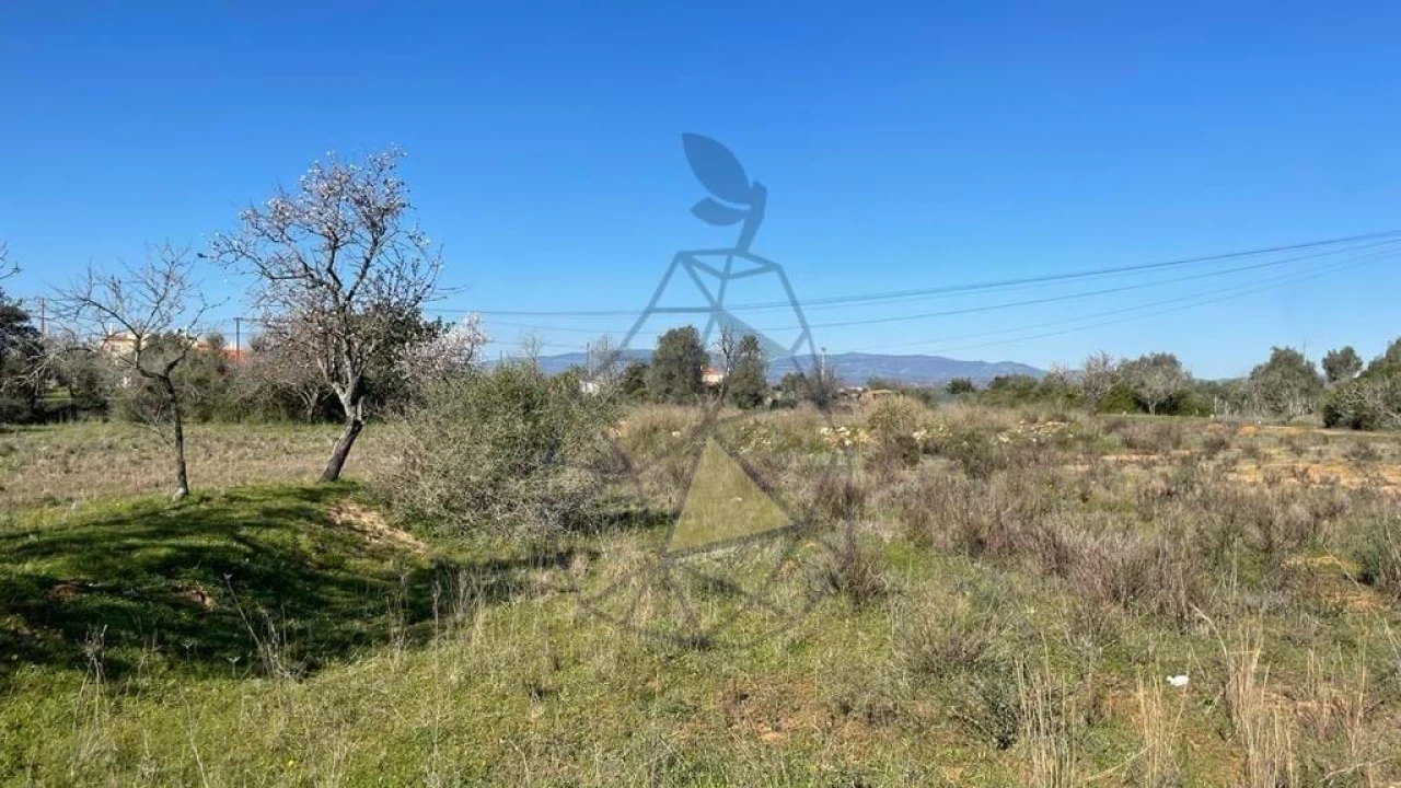 Terreno para Venda em Silves Foto 4
