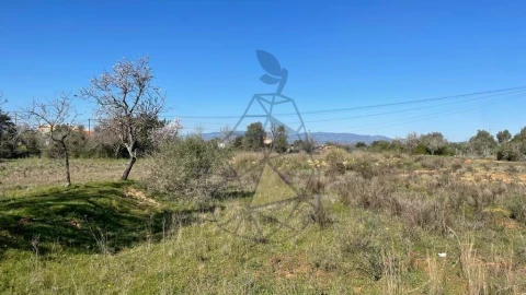 Terreno para Venda em Silves