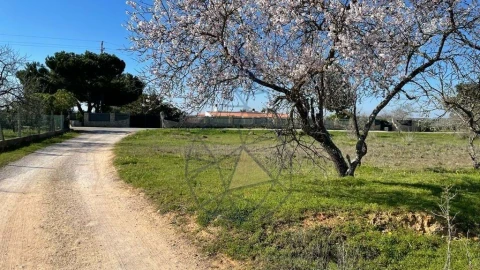 Terreno para Venda em Silves