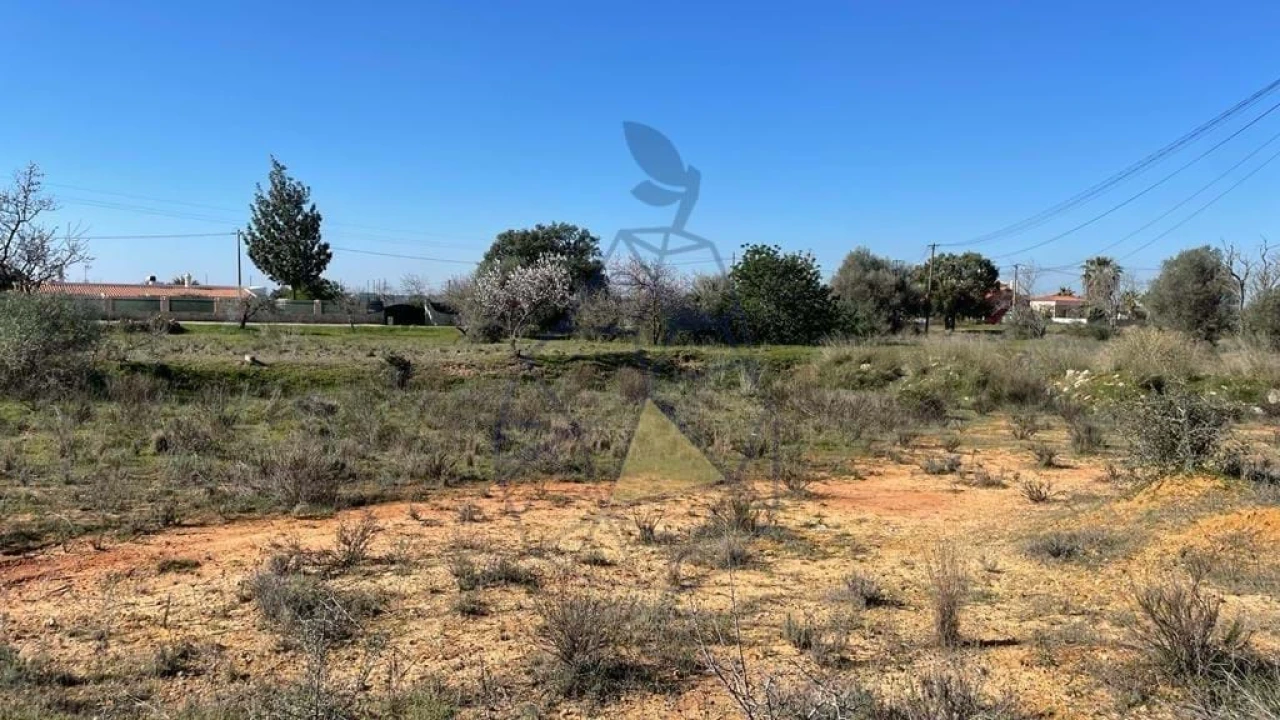 Terreno para Venda em Silves Foto 15