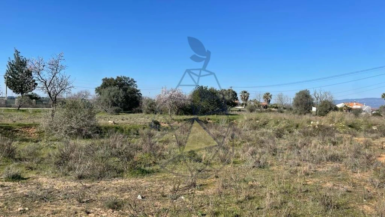 Terreno para Venda em Silves Foto 12