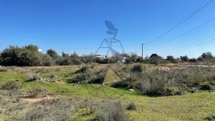 Terreno para Venda em Silves Foto 20
