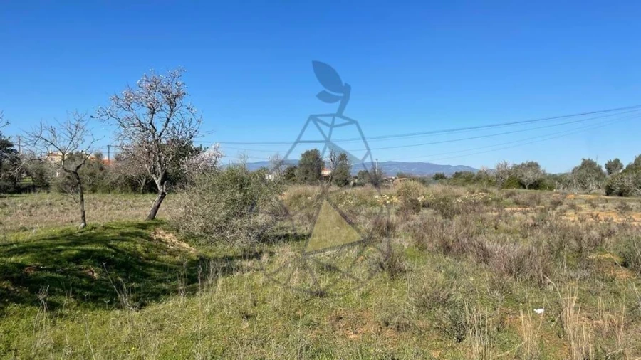 Terreno para Venda em Silves Foto 4