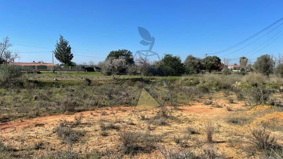 Terreno para Venda em Silves Foto 15