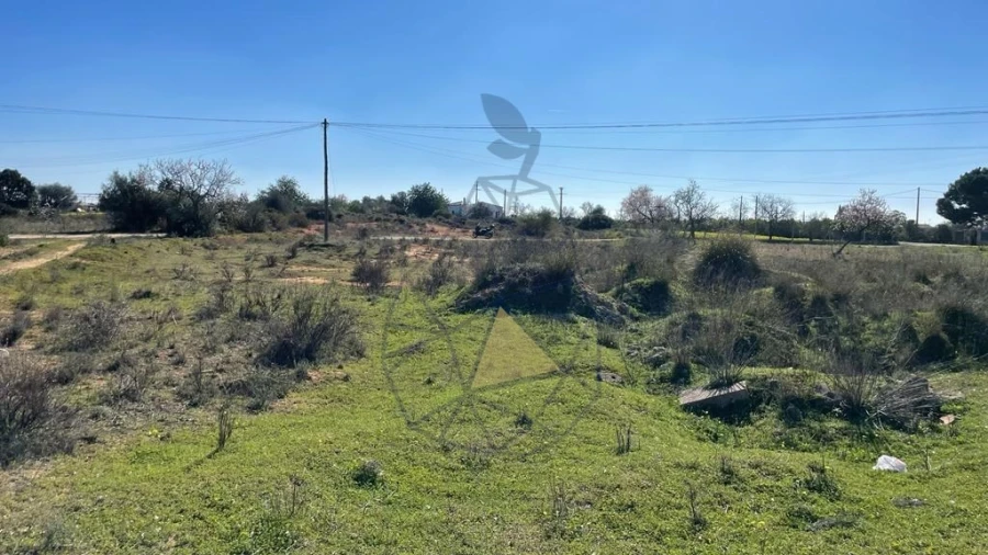 Terreno para Venda em Silves Foto 11