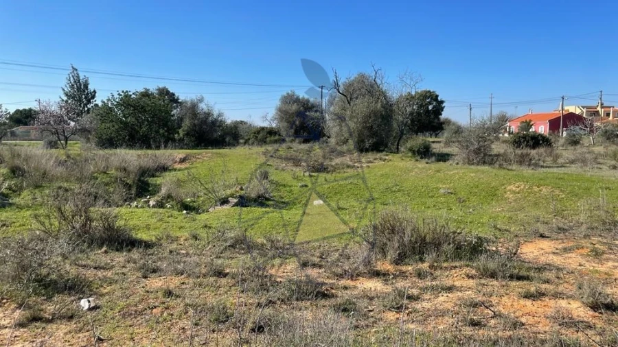 Terreno para Venda em Silves Foto 13