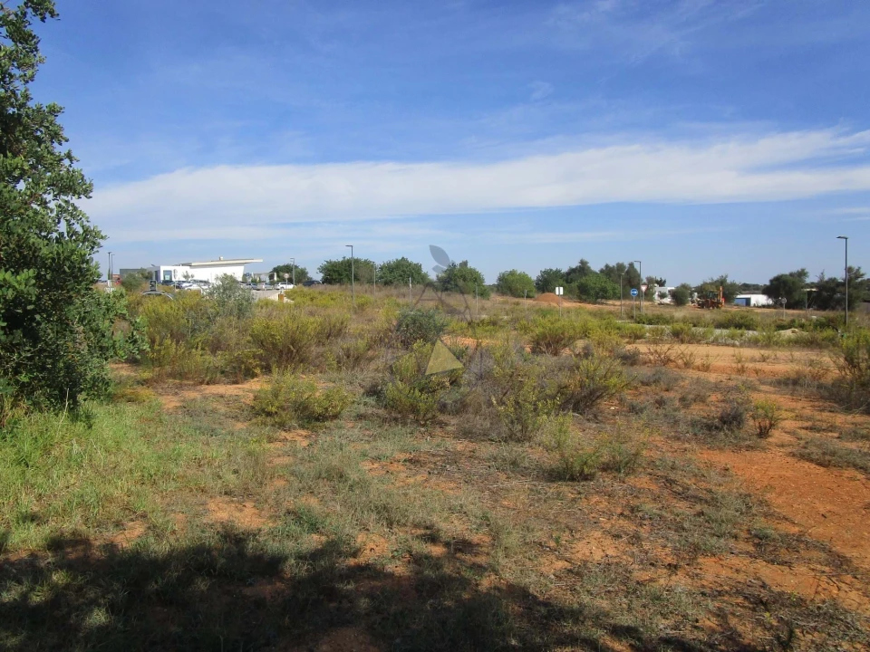 Terreno para Venda em Silves Foto 6