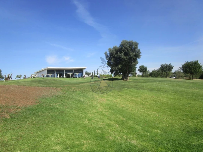 Terreno para Venda em Silves Foto 8