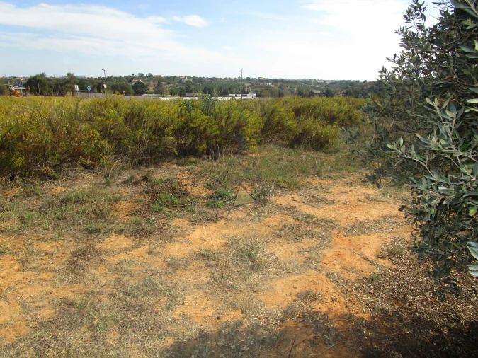 Terreno para Venda em Silves Foto 5