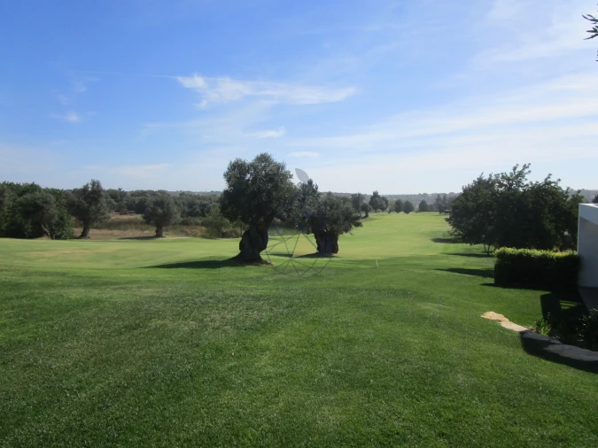 Terreno para Venda em Silves Foto 9