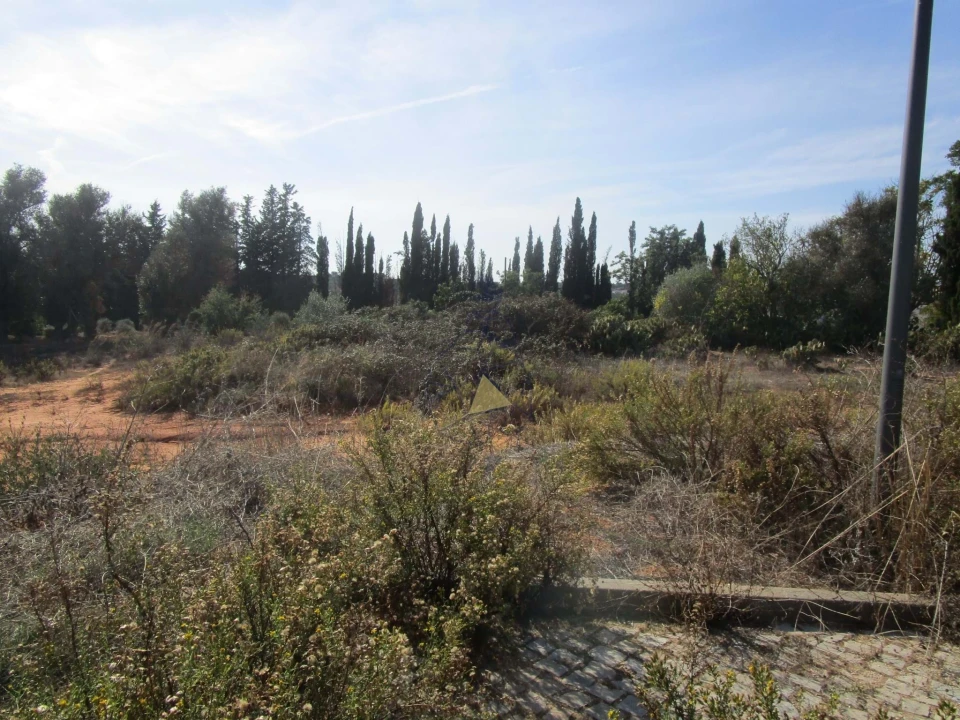 Terreno para Venda em Silves Foto 1