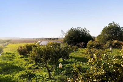 Moradia T10 para Venda em Silves