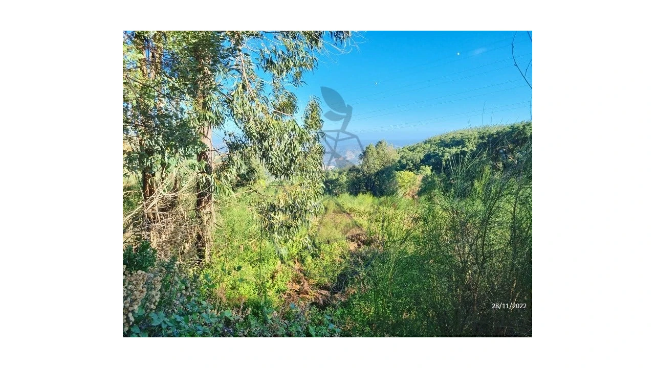Terreno para Venda em Alferce Foto 3