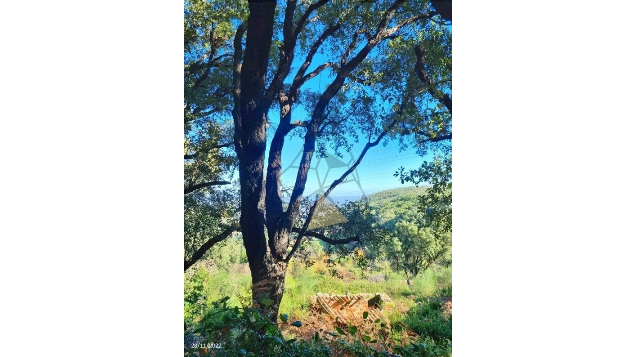 Terreno para Venda em Alferce Foto 21