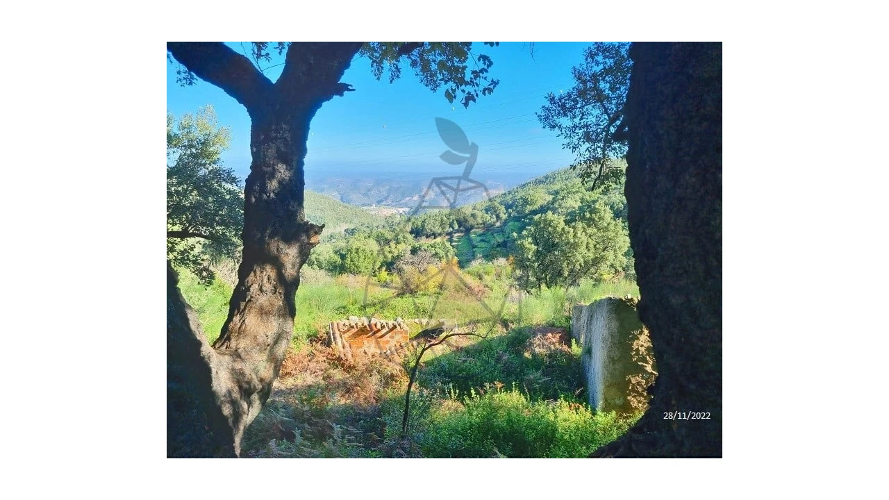 Terreno para Venda em Alferce Foto 2