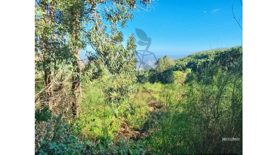 Terreno para Venda em Alferce Foto 3