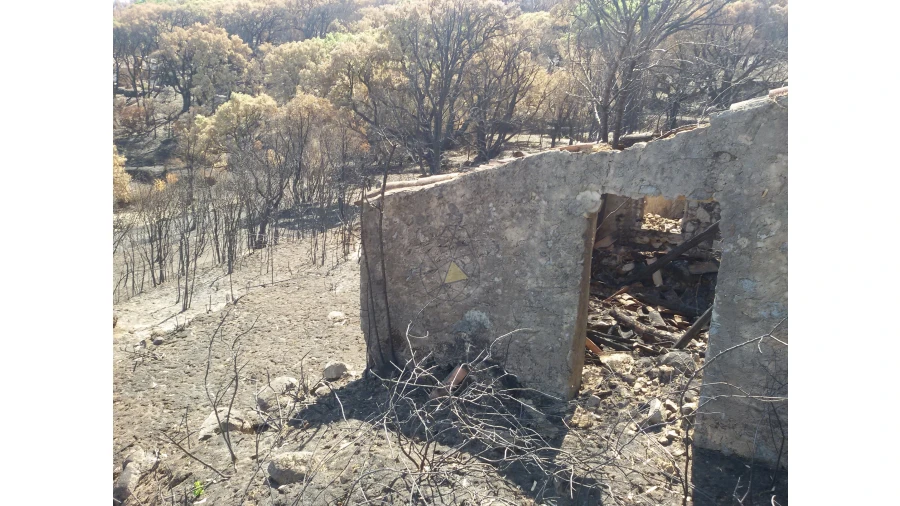 Terreno para Venda em Alferce Foto 11