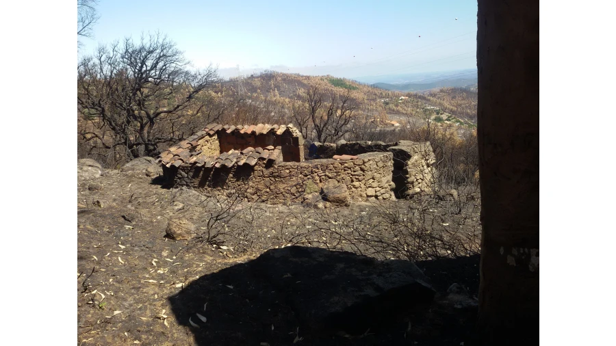 Terreno para Venda em Alferce Foto 14