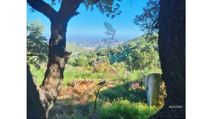 Terreno para Venda em Alferce Foto 2