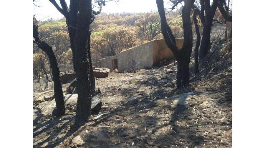 Terreno para Venda em Alferce Foto 7