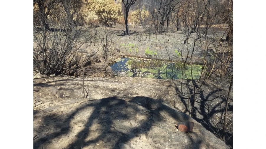 Terreno para Venda em Alferce Foto 5