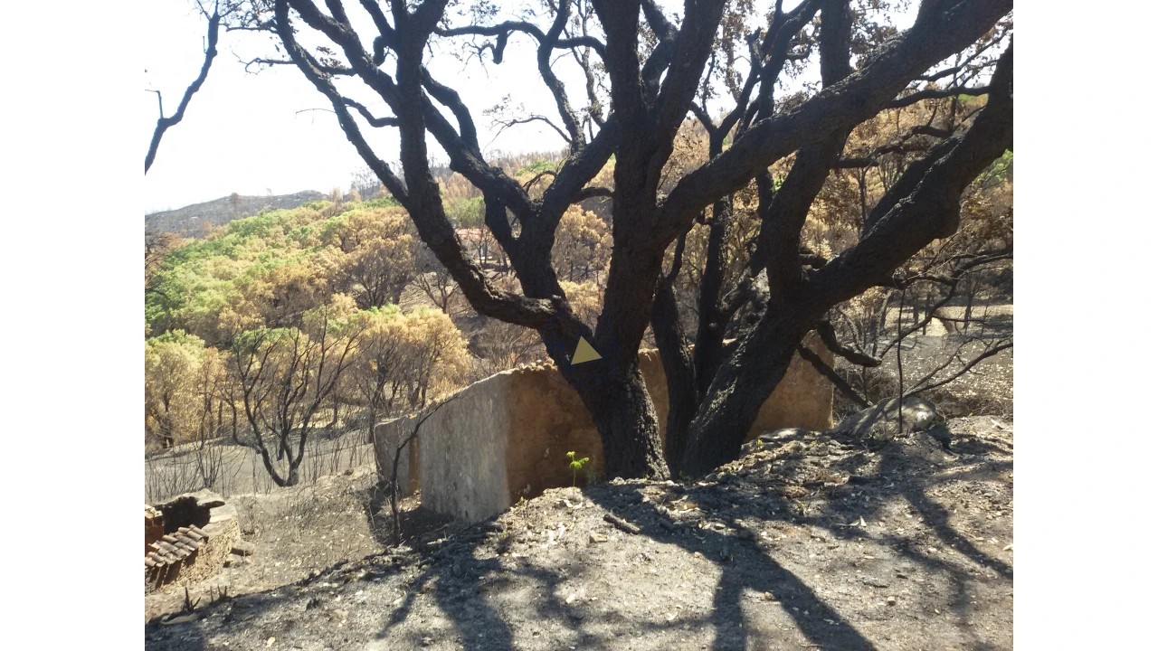 Terreno para Venda em Alferce Foto 20